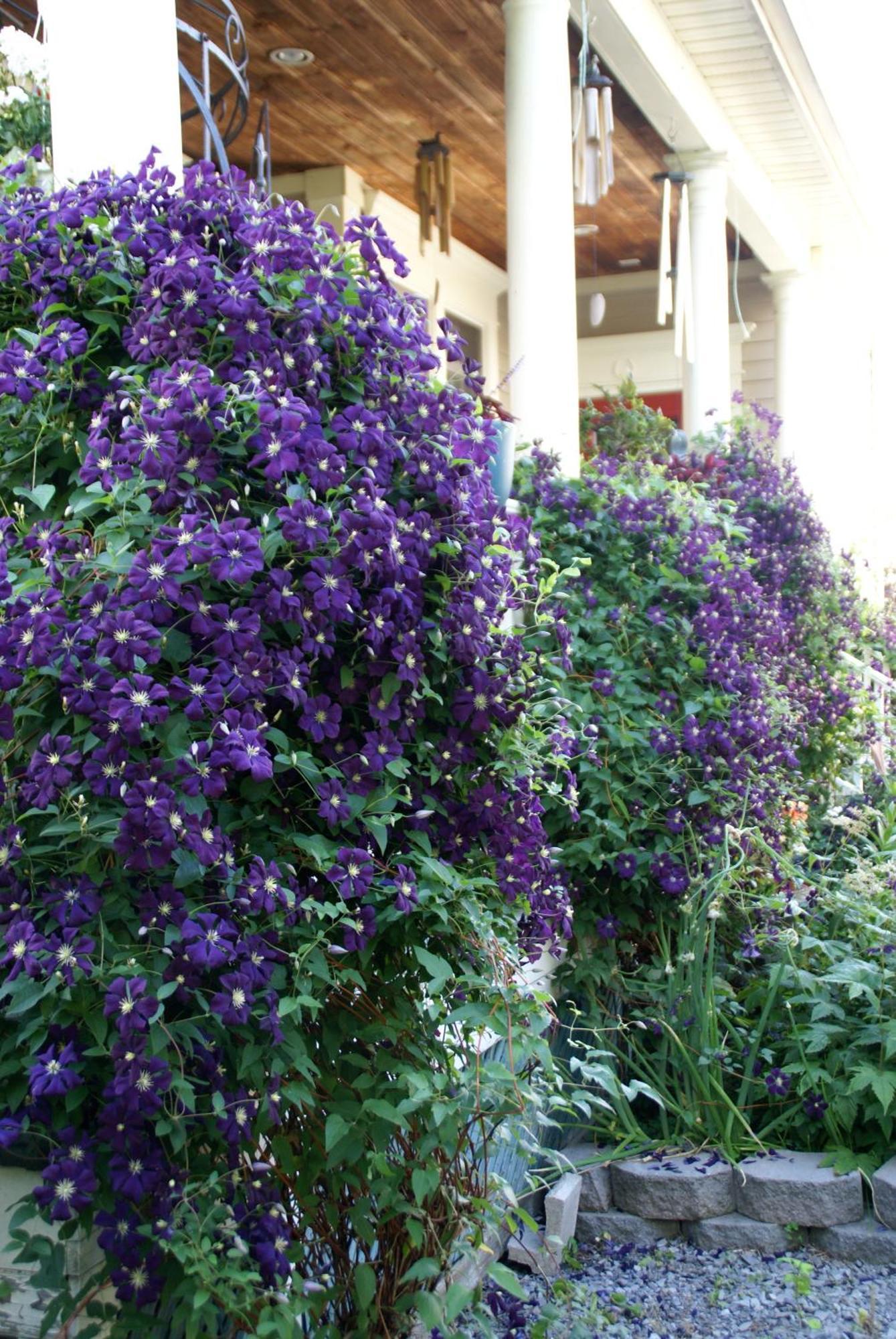 Globetrotters B&B Niagara-on-the-Lake Exterior foto